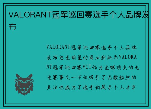 VALORANT冠军巡回赛选手个人品牌发布