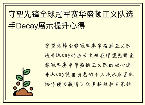 守望先锋全球冠军赛华盛顿正义队选手Decay展示提升心得